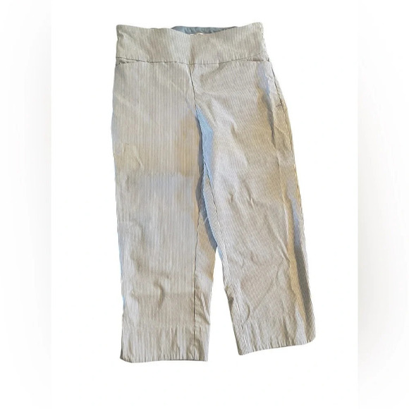 s.c & CO Pants - S.C & CO blue striped leggings
